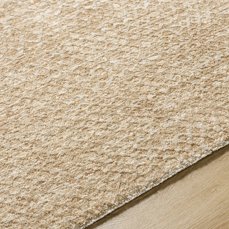 Kamin Area Rug by Boutique Rugs