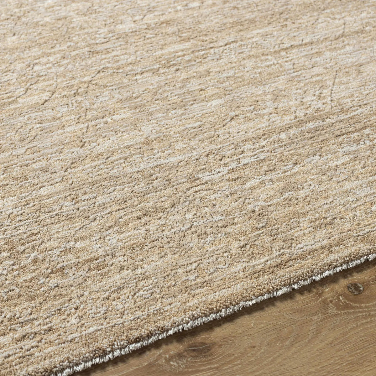 Kyran Tan Area Rug, photo 7 of 12
