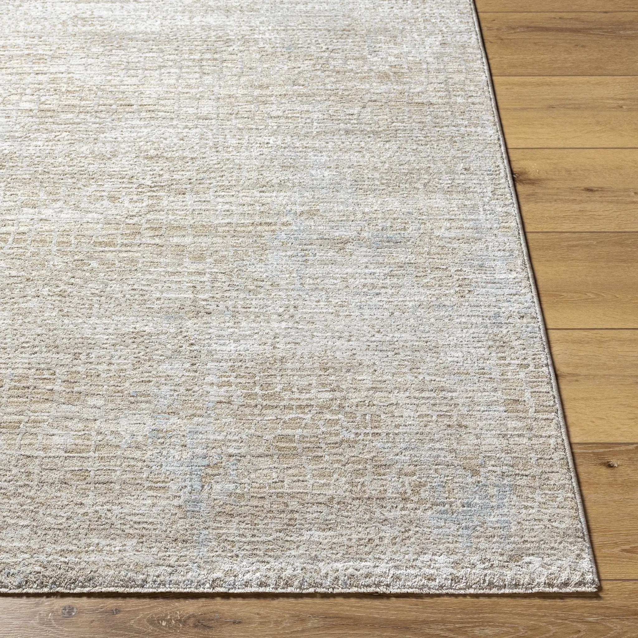 Laina Area Rug by Boutique Rugs