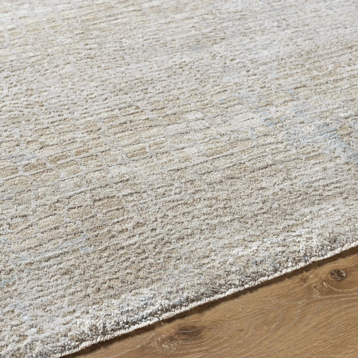 Laina Area Rug, photo 8 of 11