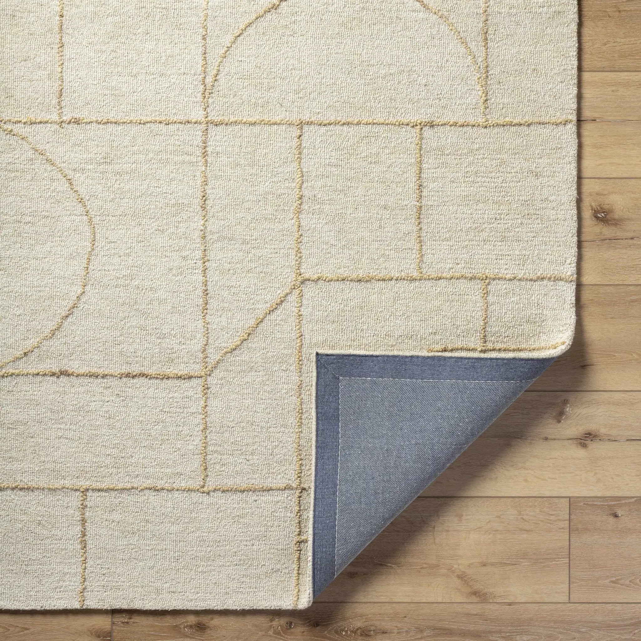 Sanaz Ivory Area Rug by Boutique Rugs