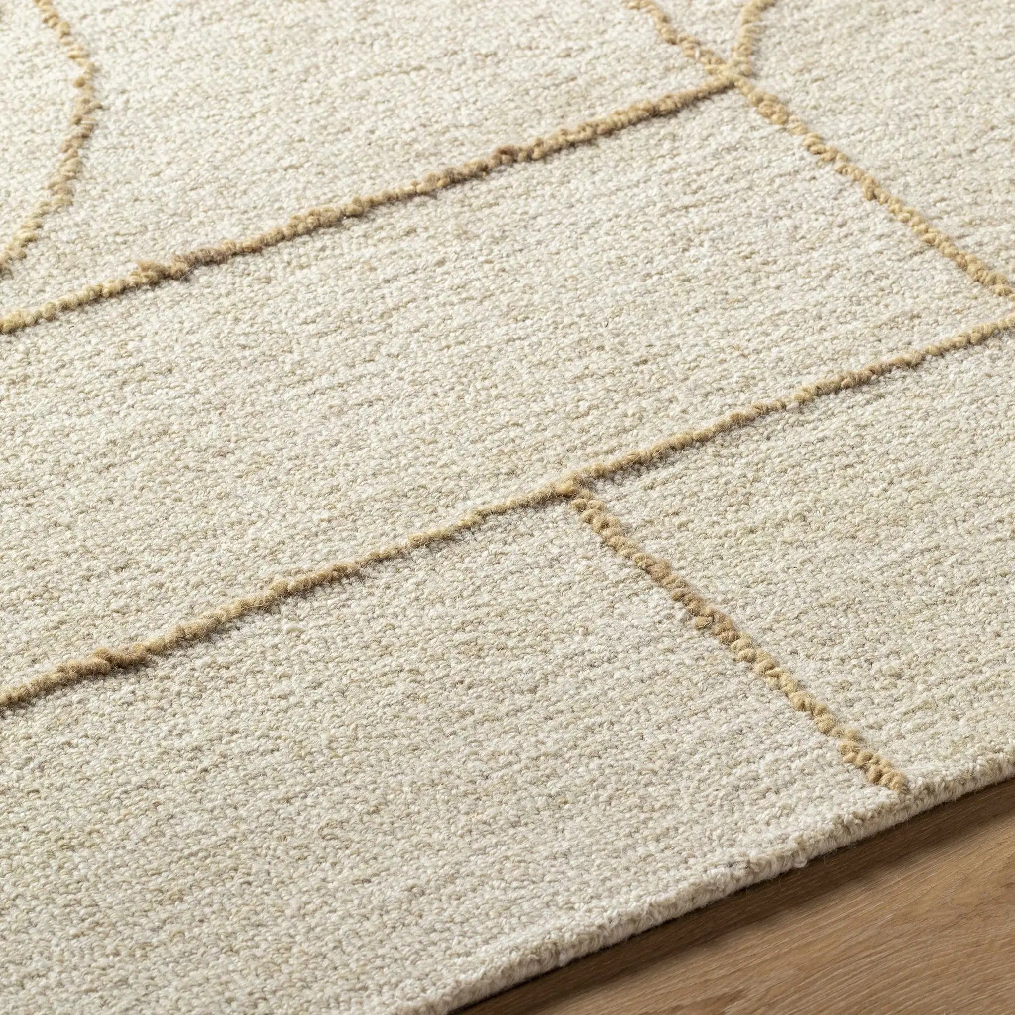 Sanaz Ivory Area Rug by Boutique Rugs
