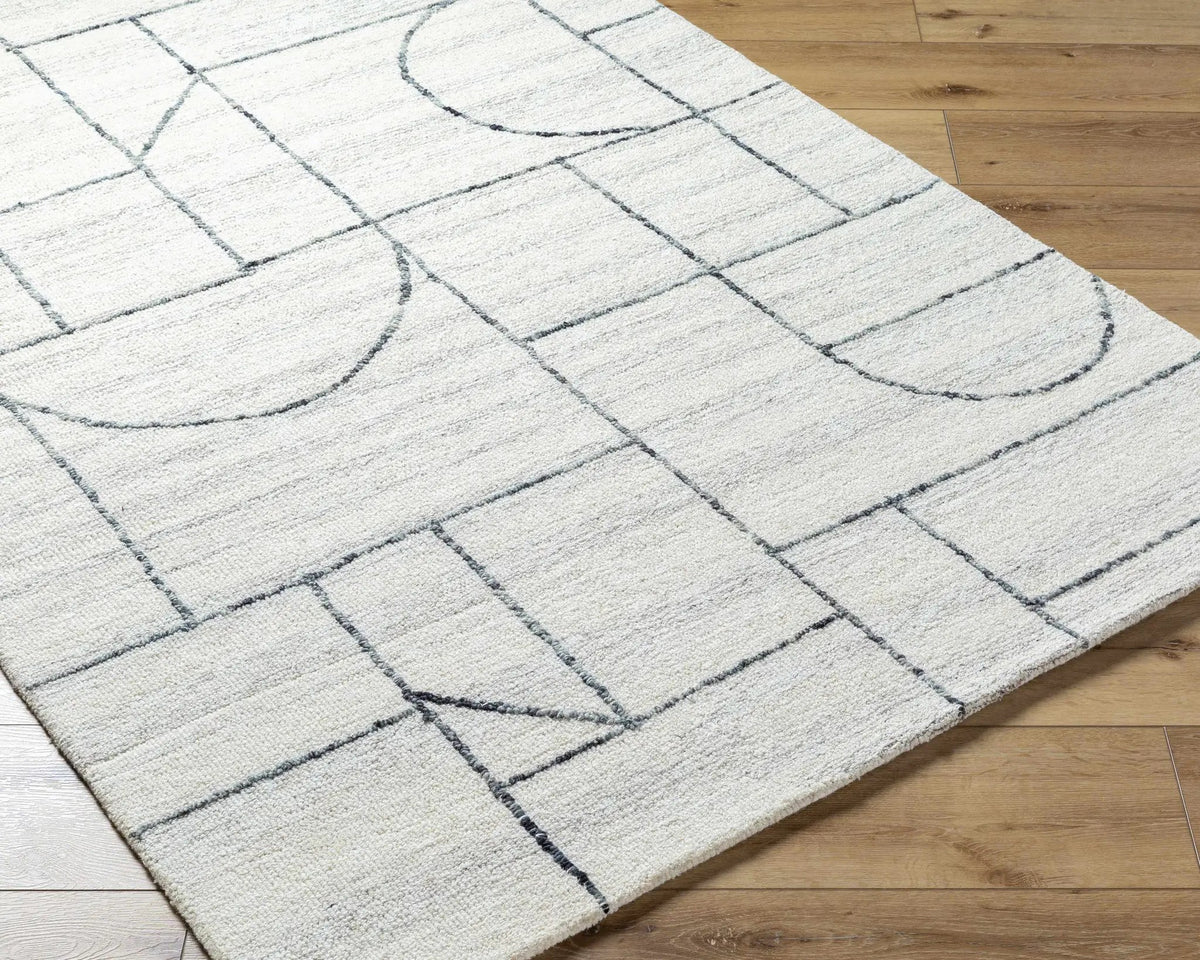 Sanaz Charcoal Area Rug - Clearance, photo 4 of 7