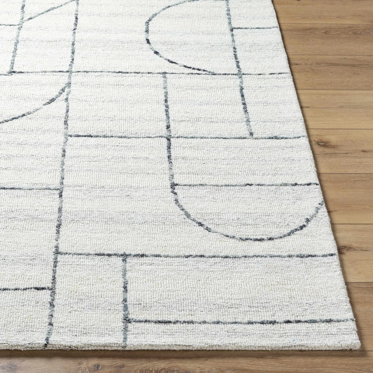 Sanaz Charcoal Area Rug - Clearance, photo 3 of 7