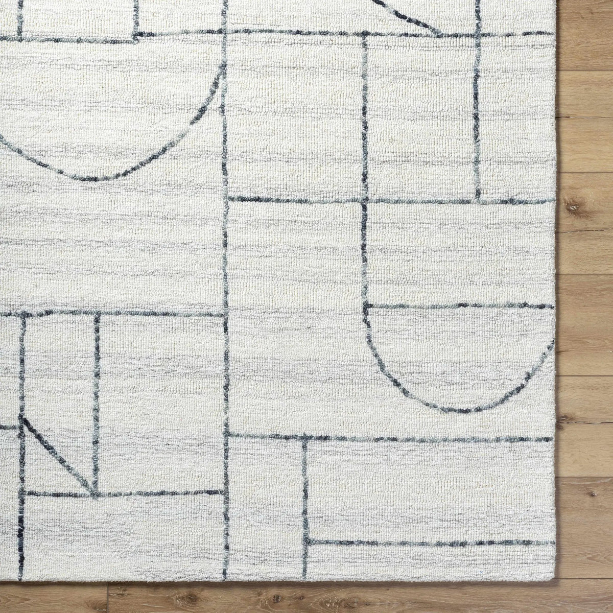 Sanaz Charcoal Area Rug - Clearance, photo 7 of 7