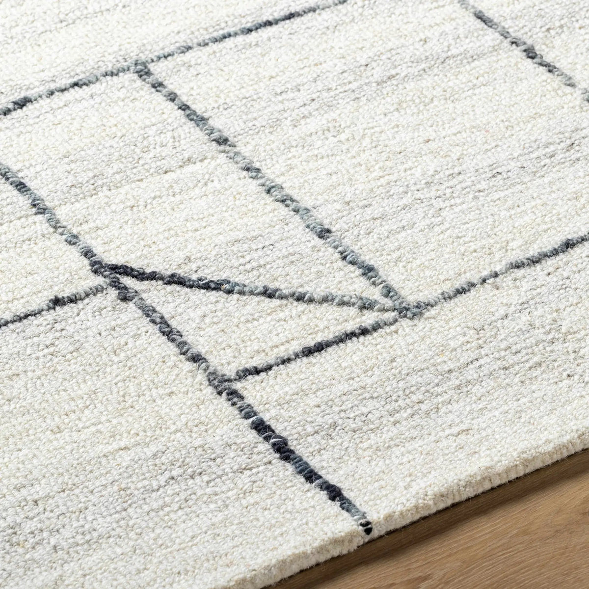 Sanaz Charcoal Area Rug - Clearance, photo 6 of 7