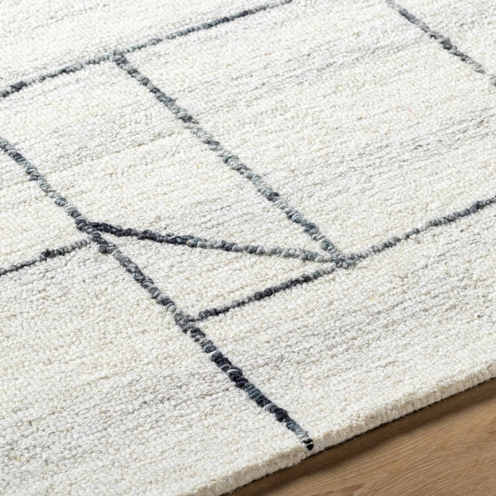 Sanaz Charcoal Area Rug - Clearance by Boutique Rugs