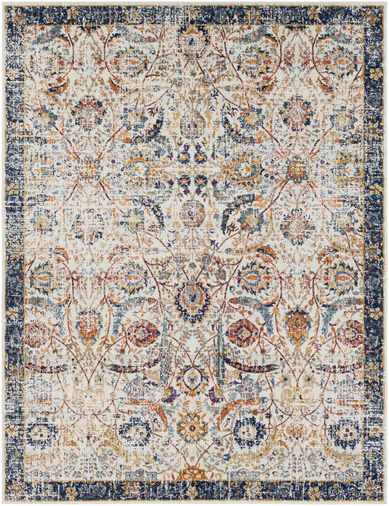 Smyrna Area Rug by Boutique Rugs