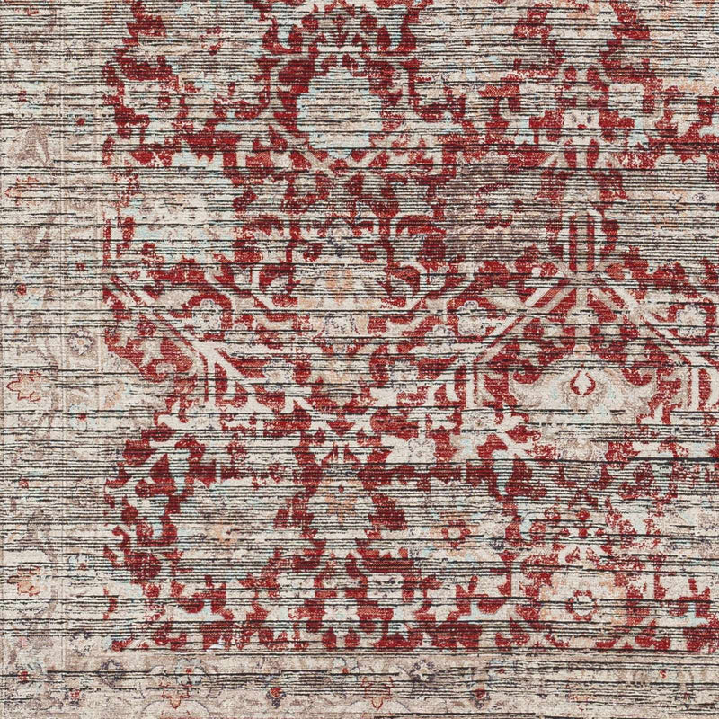 Cathy Area Rug - Clearance by Boutique Rugs