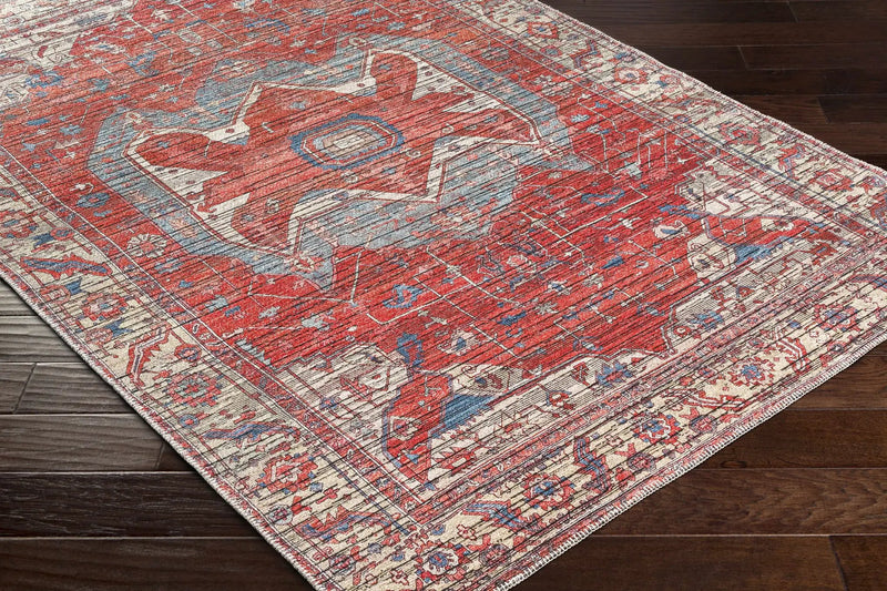 Saif Area Rug - Clearance by Boutique Rugs