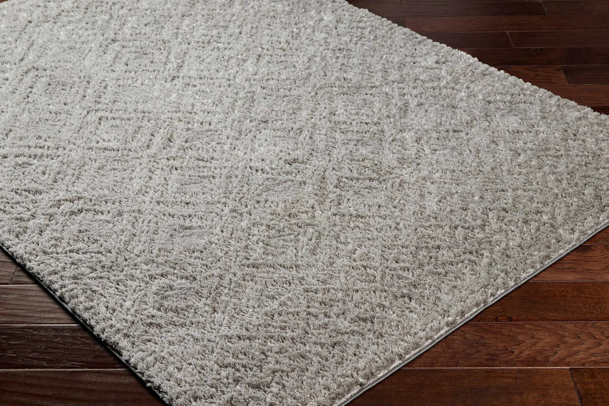 Amnon Area Rug, photo 3 of 4