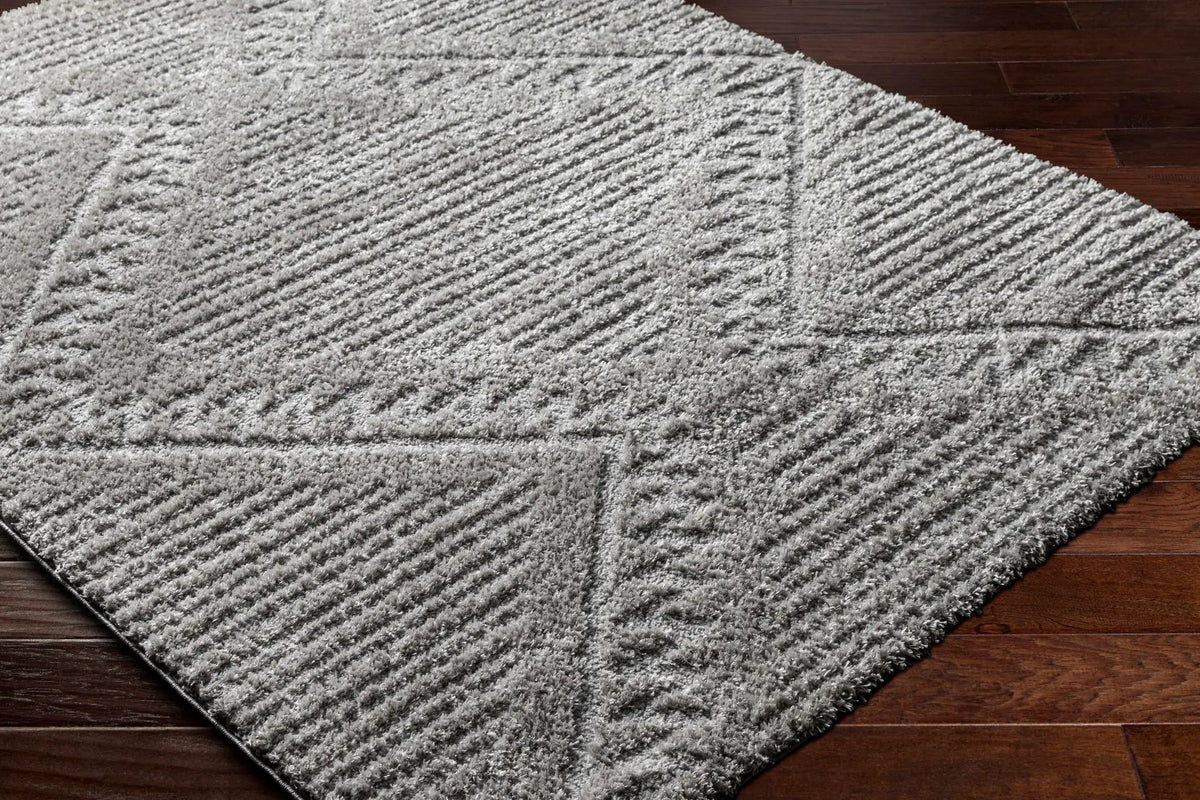 Edsel Gray Area Rug, photo 3 of 8