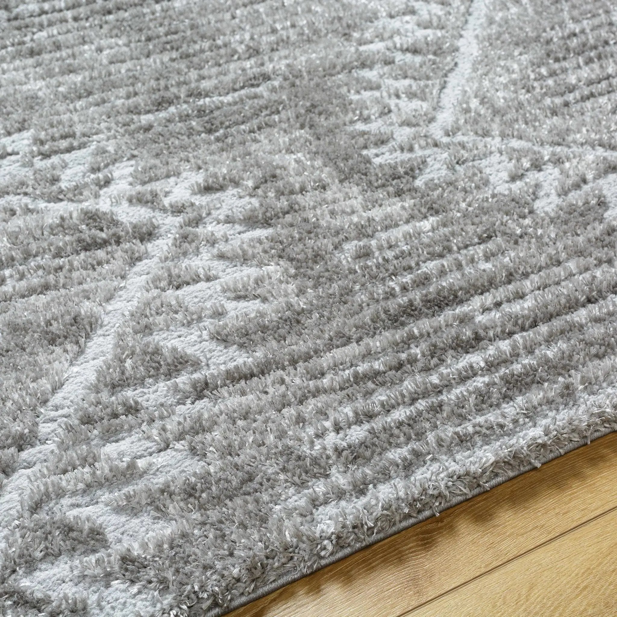 Edsel Gray Area Rug by Boutique Rugs