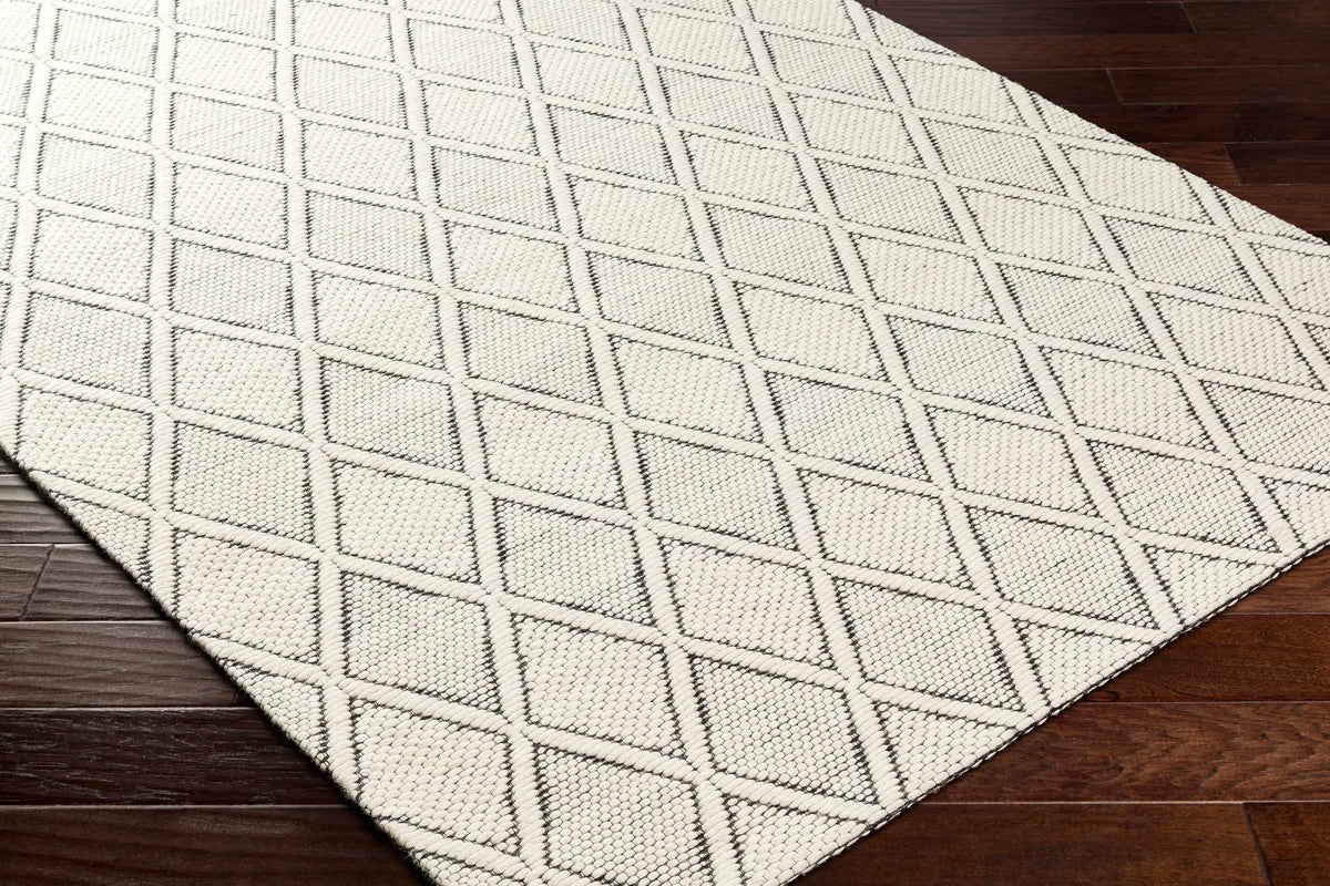 Aeron Area Rug - Clearance, photo 6 of 7