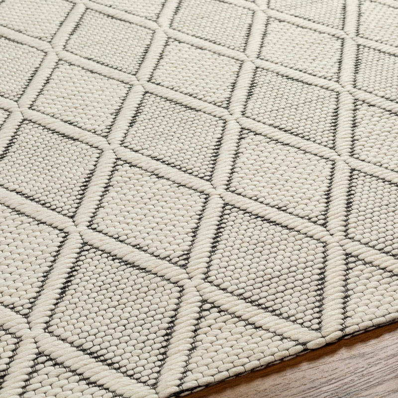 Aeron Area Rug - Clearance by Boutique Rugs