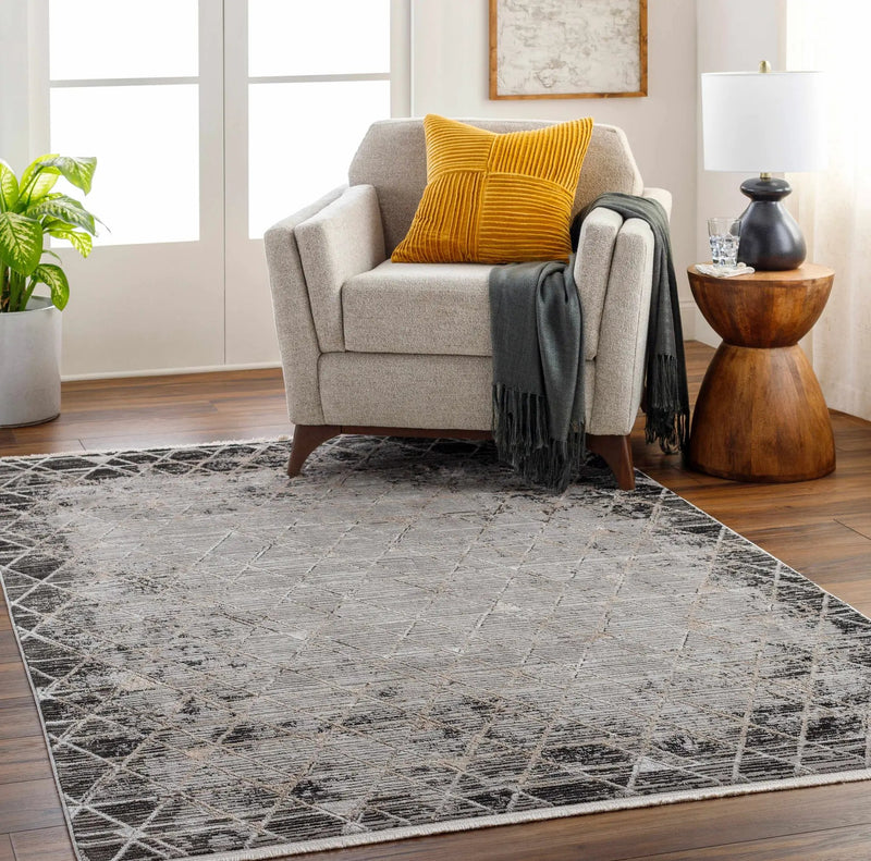 Luol Gray Area Rug - Clearance by Boutique Rugs
