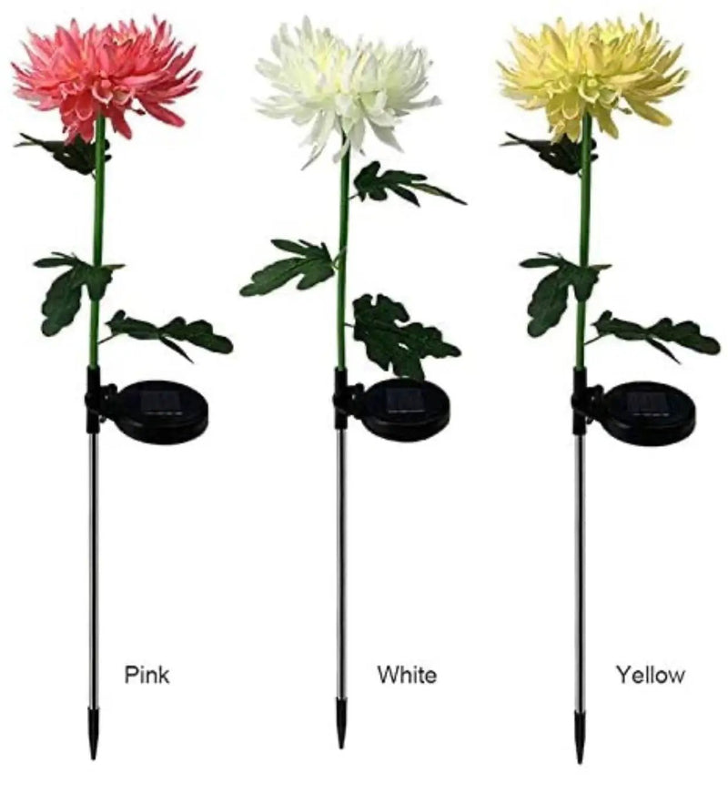 Solar LED Light Artificial Chrysanthemum Flower (3 Pack) by Outdoor Solar Outlet