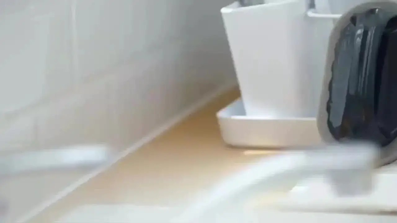 Sponge Brush - Sanitizes Pots & Pans by House Of Avana