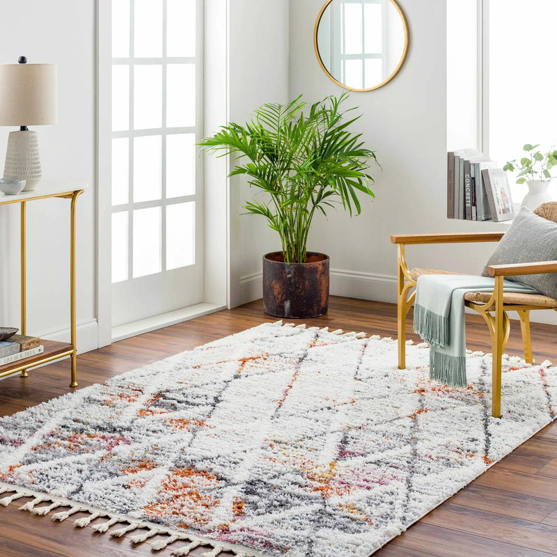 Atish Area Rug - Clearance by Boutique Rugs