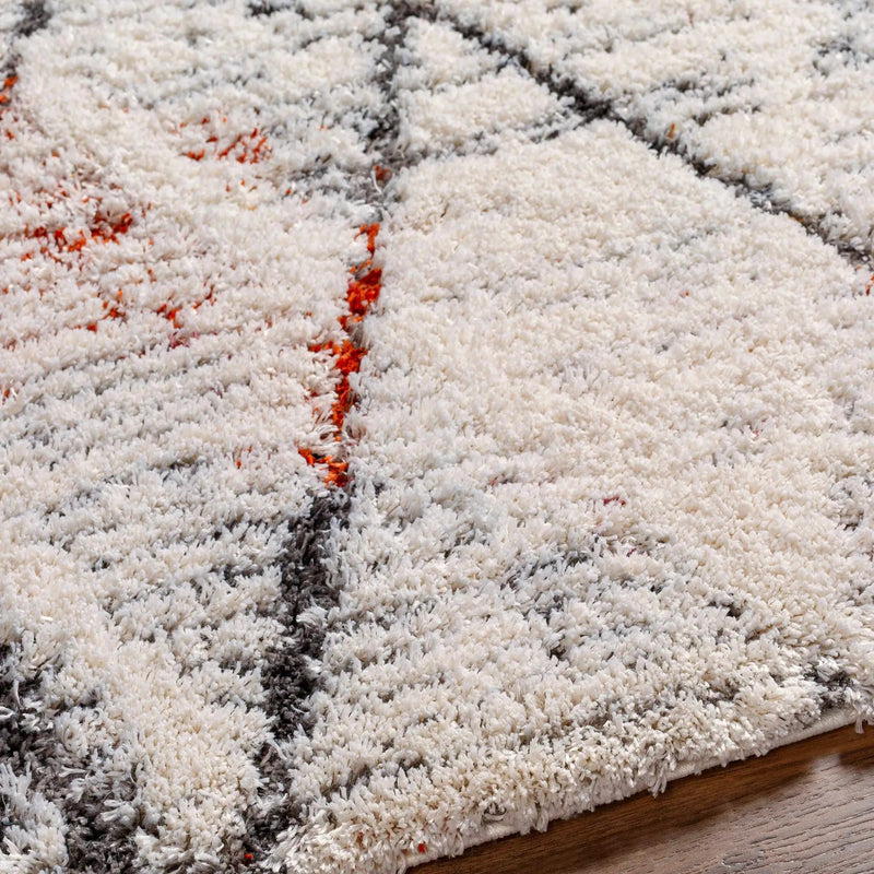 Atish Area Rug - Clearance by Boutique Rugs