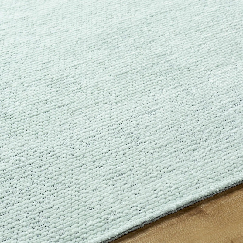 Isako Seafoam Solid Washable Area Rug - Clearance by Boutique Rugs