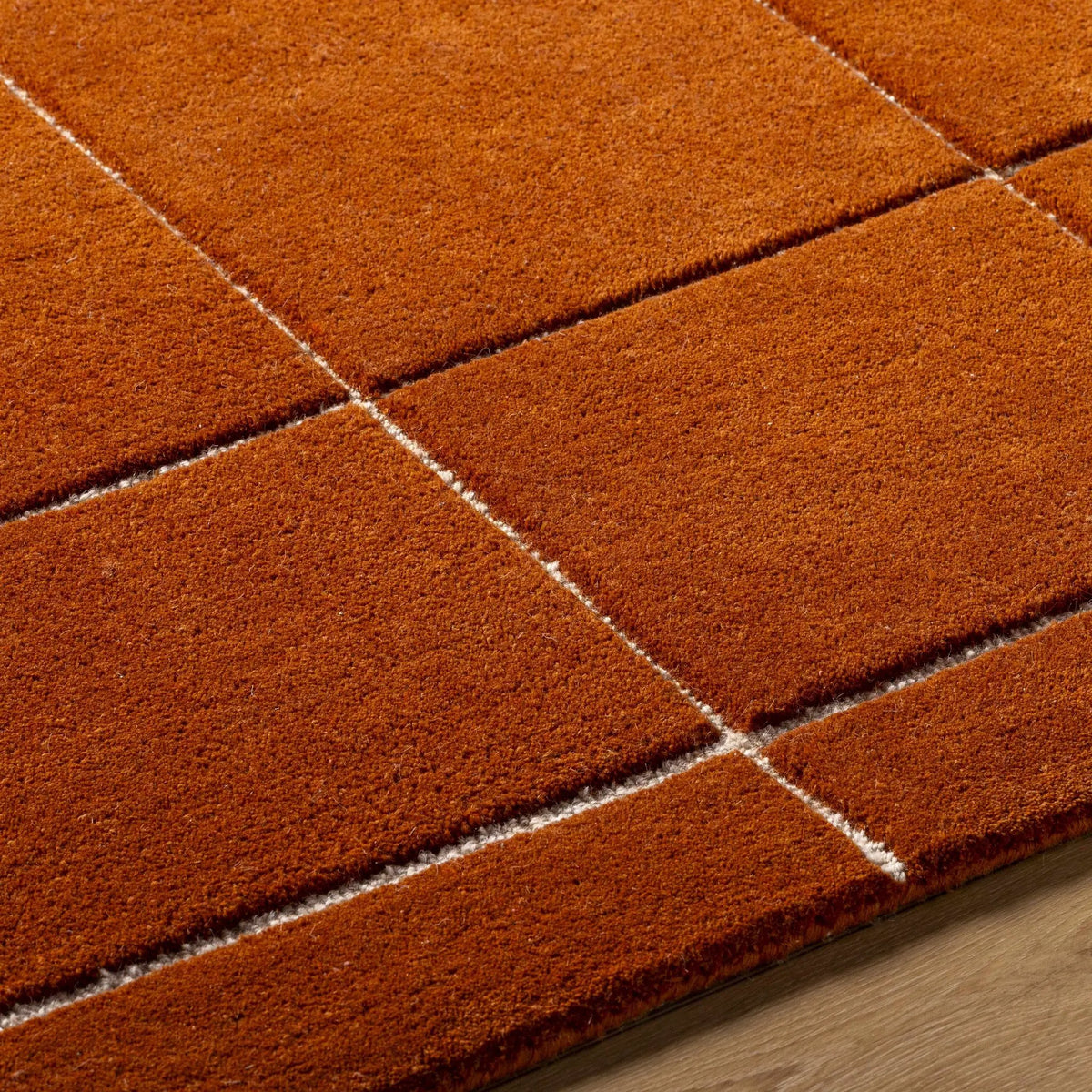 Siarl Burnt Orange Checkered Area Rug, photo 6 of 8