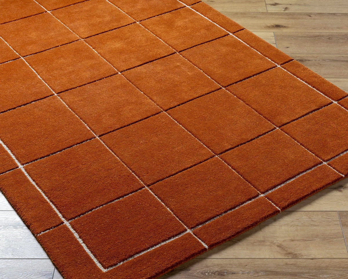 Siarl Burnt Orange Checkered Area Rug, photo 4 of 8
