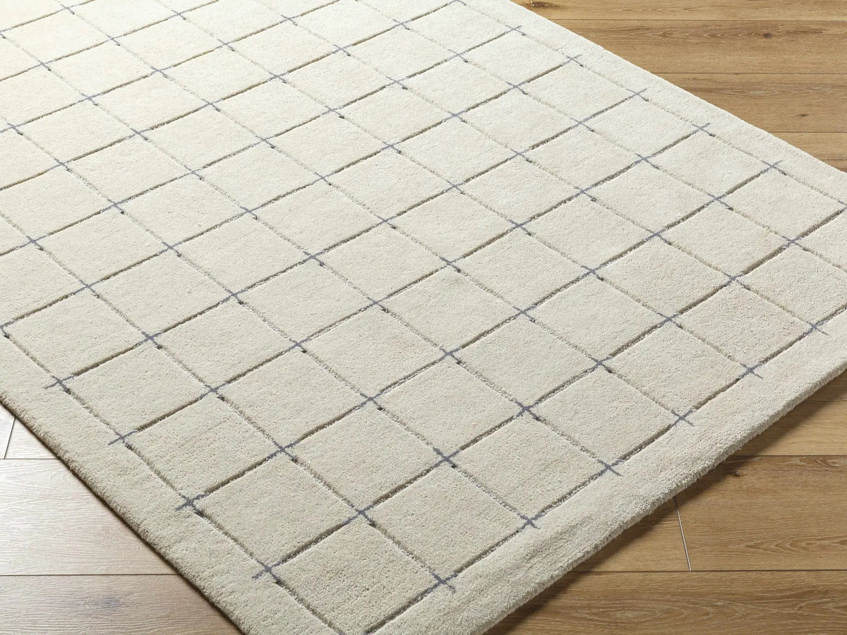 Sanvi Tan Area Rug, photo 6 of 9