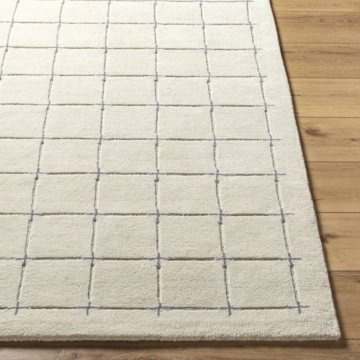 Sanvi Tan Area Rug, photo 5 of 9