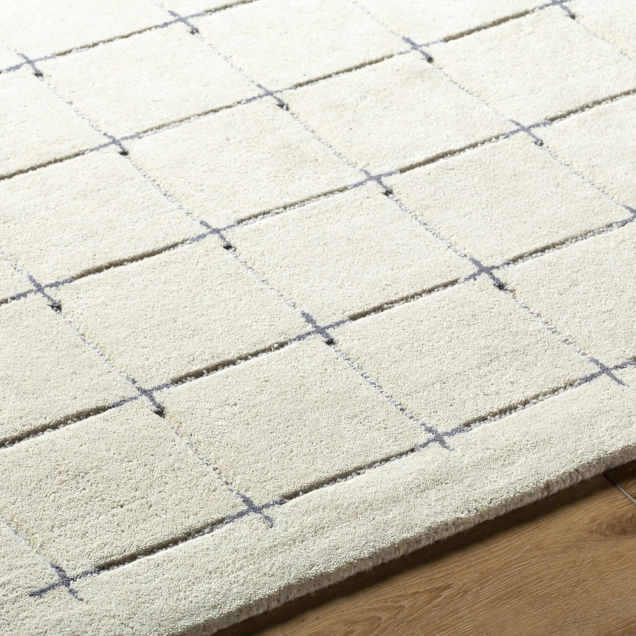 Sanvi Tan Area Rug by Boutique Rugs