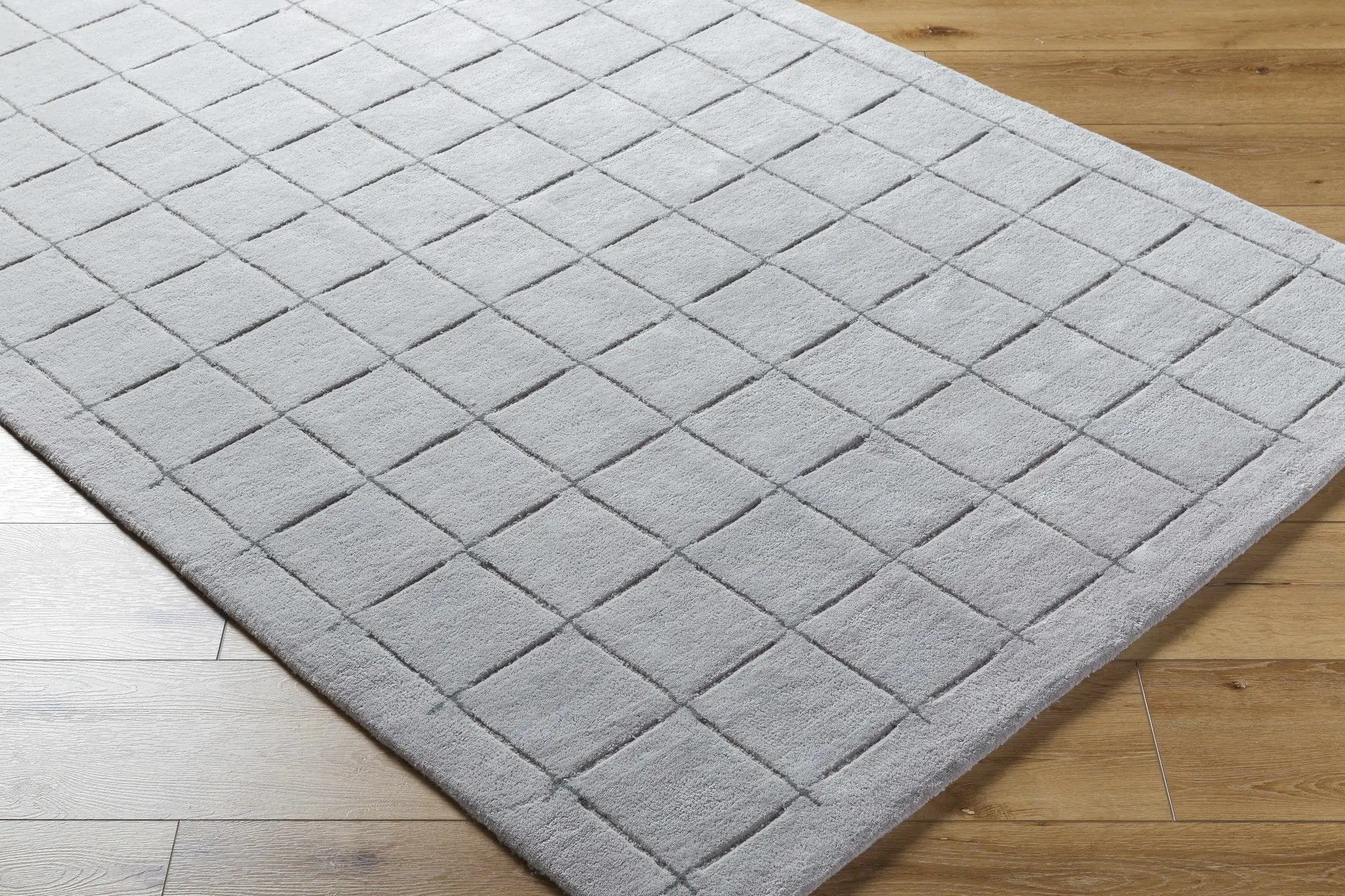 Sanvi Gray Area Rug by Boutique Rugs