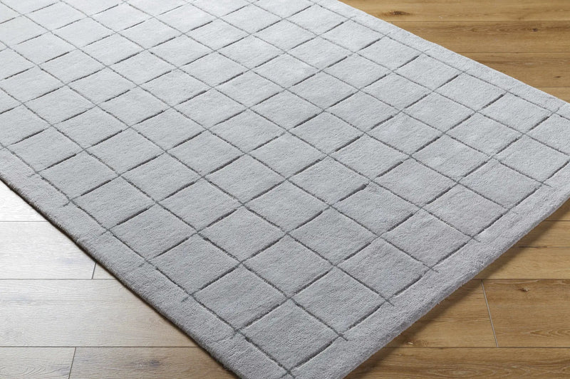 Sanvi Gray Area Rug by Boutique Rugs