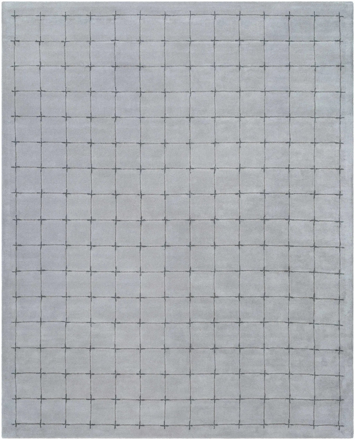 Sanvi Gray Area Rug