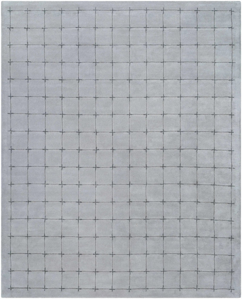 Sanvi Gray Area Rug by Boutique Rugs