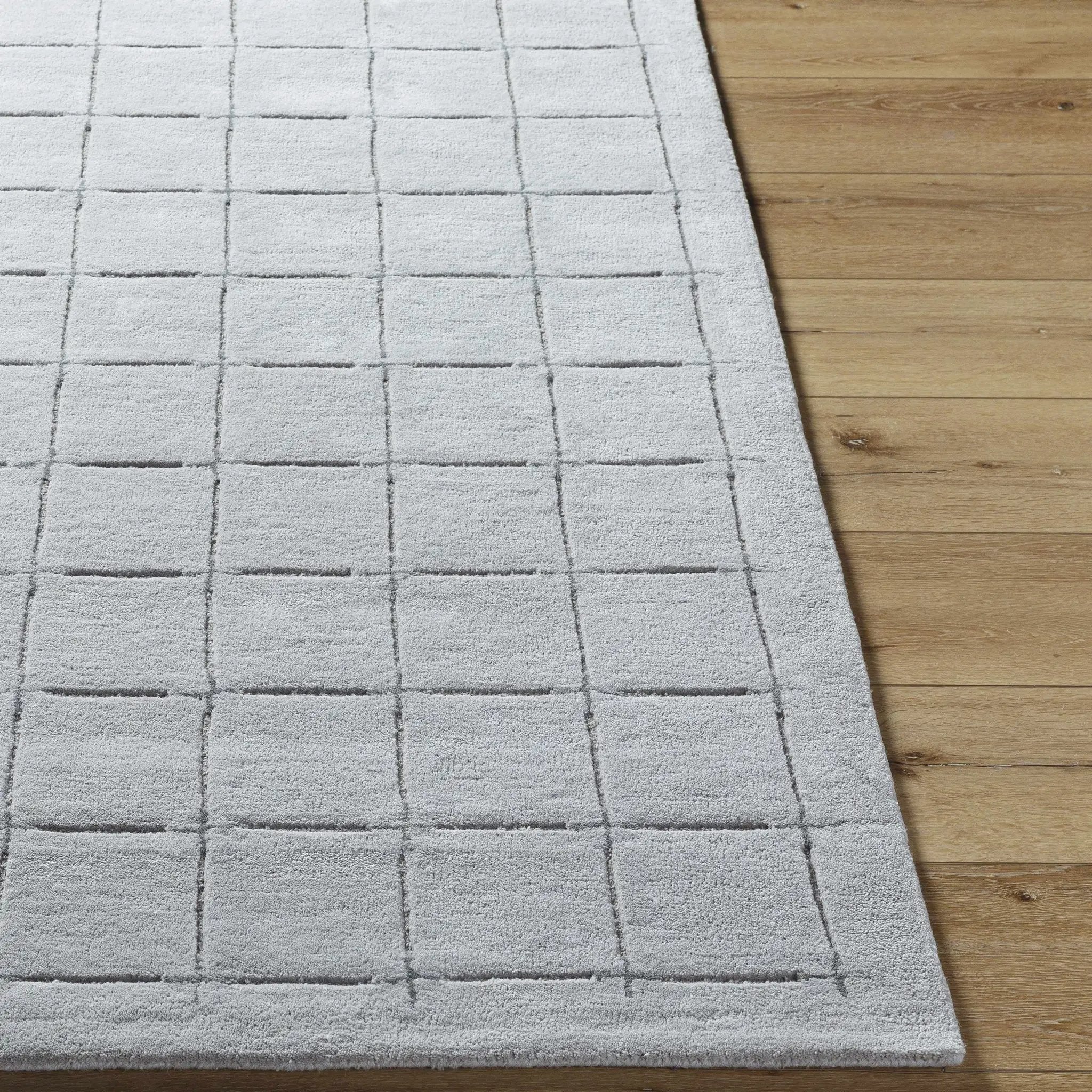 Sanvi Gray Area Rug by Boutique Rugs