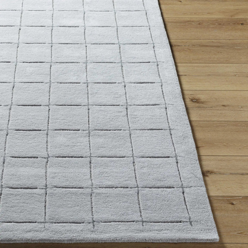 Sanvi Gray Area Rug by Boutique Rugs