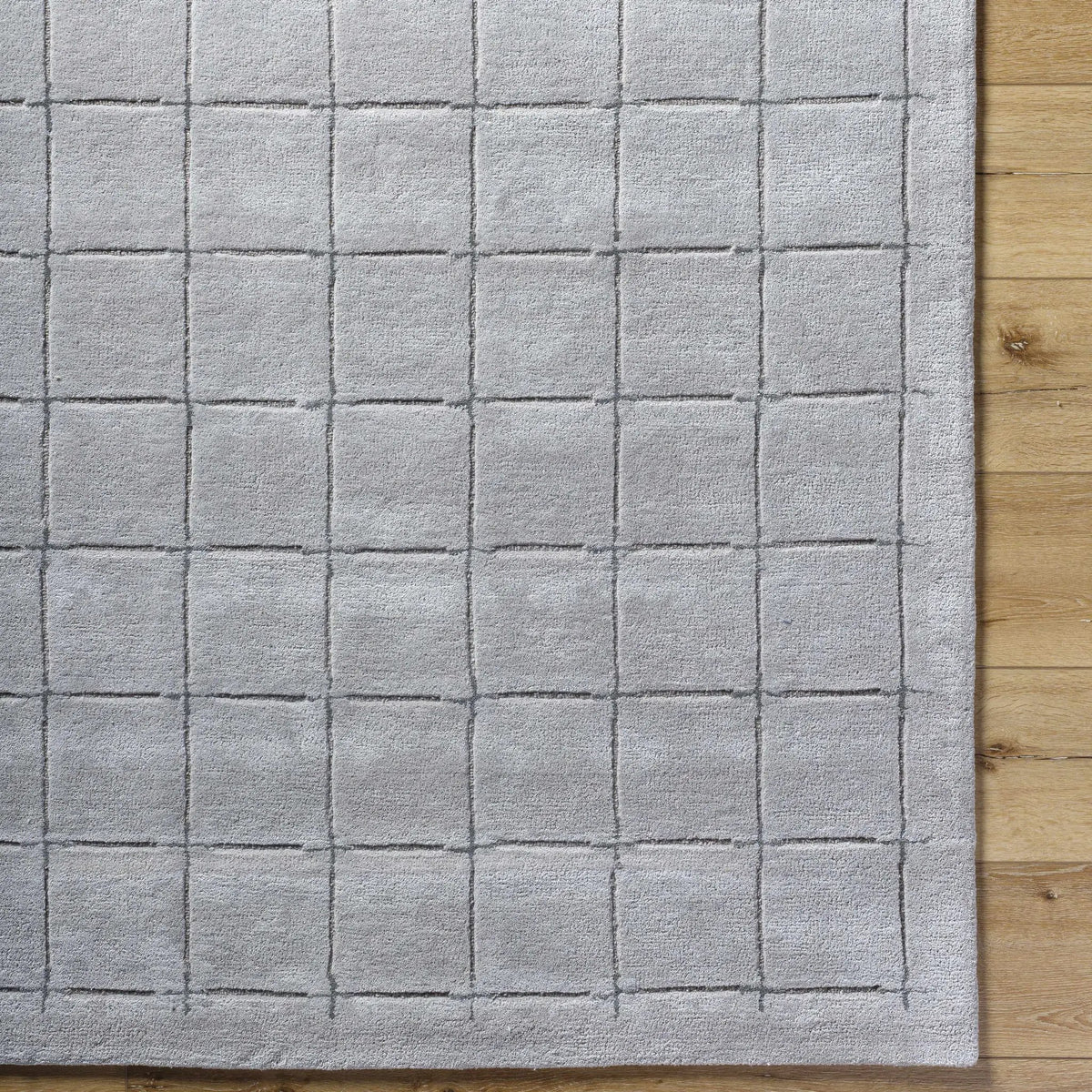 Sanvi Gray Area Rug, photo 6 of 7