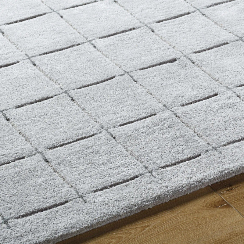 Sanvi Gray Area Rug by Boutique Rugs