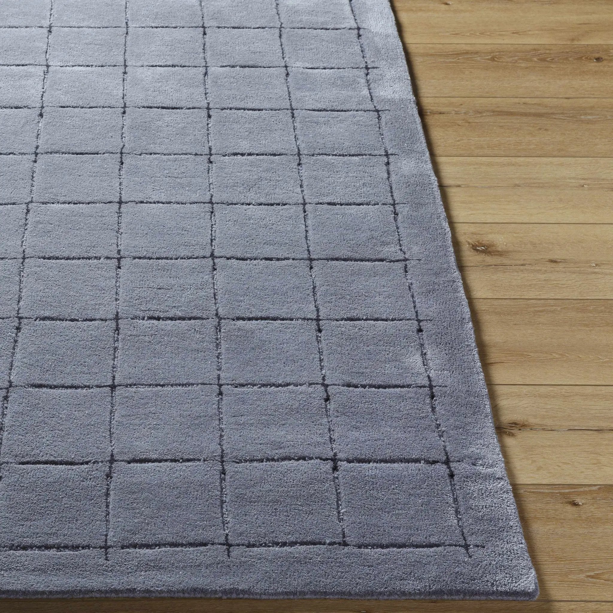 Sanvi Charcoal Area Rug by Boutique Rugs