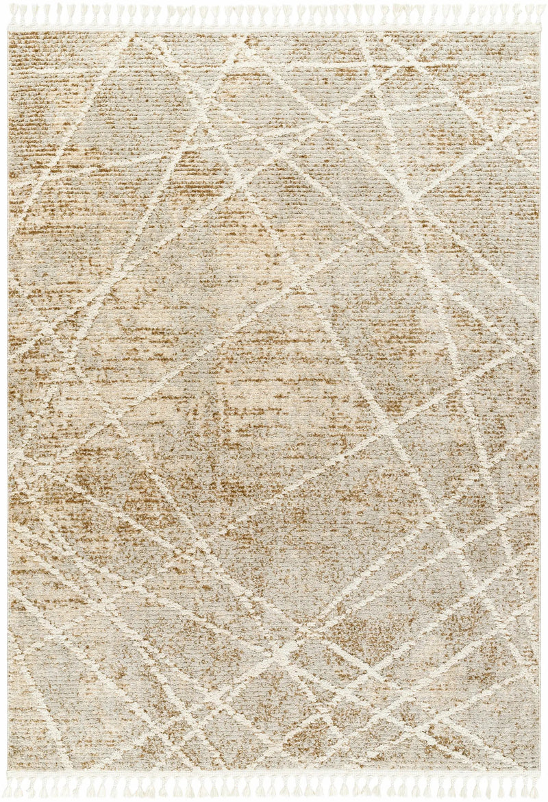 Hosea Brown Area Rug - Clearance by Boutique Rugs
