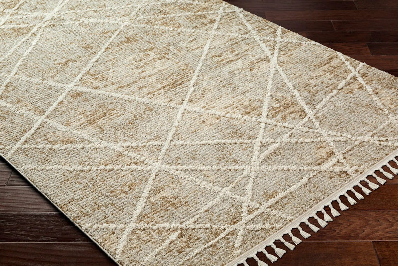 Hosea Brown Area Rug - Clearance by Boutique Rugs