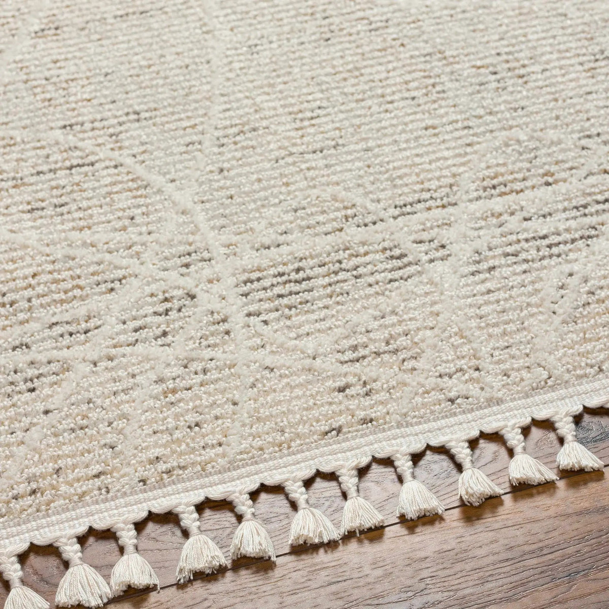 Huong Area Rug - Clearance, photo 6 of 6