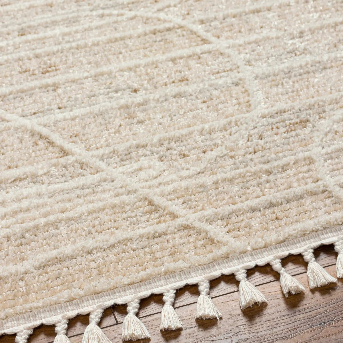 Inaya Area Rug - Clearance, photo 6 of 6