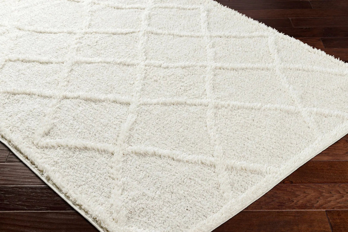 Daube Area Rug - Clearance, photo 7 of 9