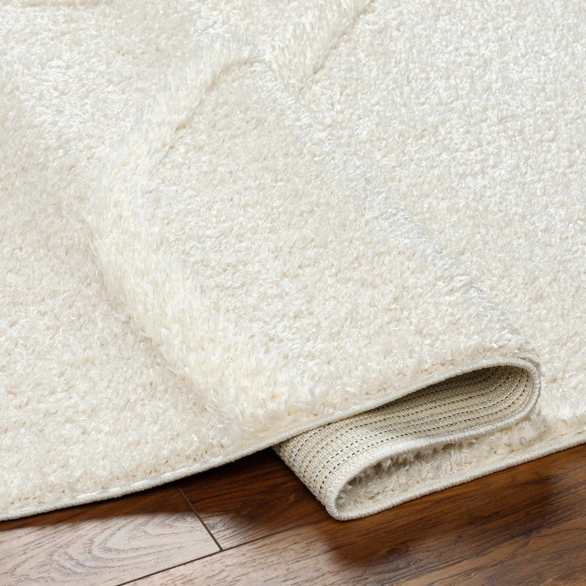 Horst Off White Area Rug, photo 5 of 6