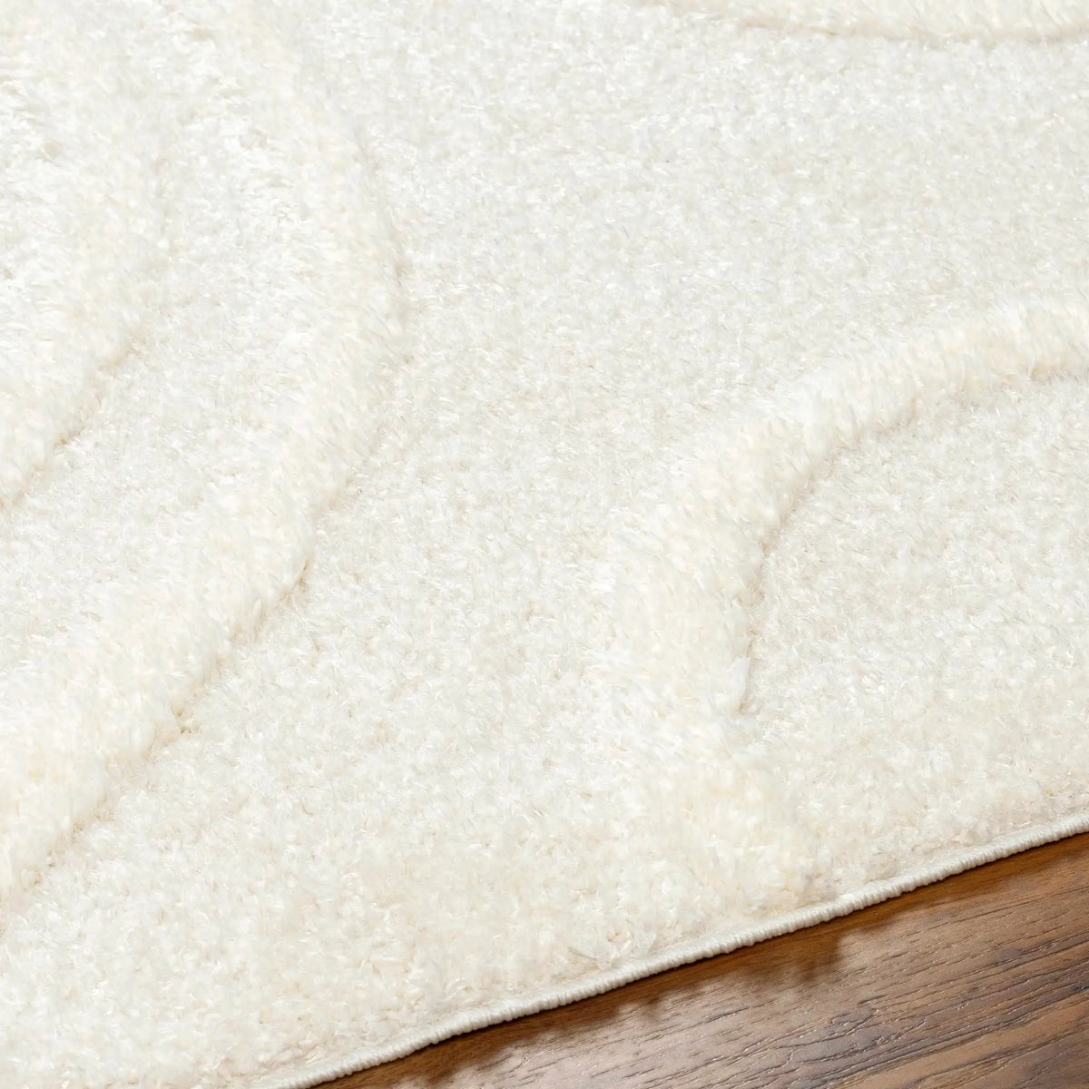 Horst Off White Area Rug, photo 6 of 6