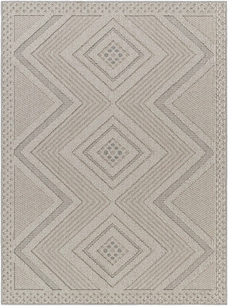 Aimee Natural Gray Outdoor Area Rug - Clearance by Boutique Rugs