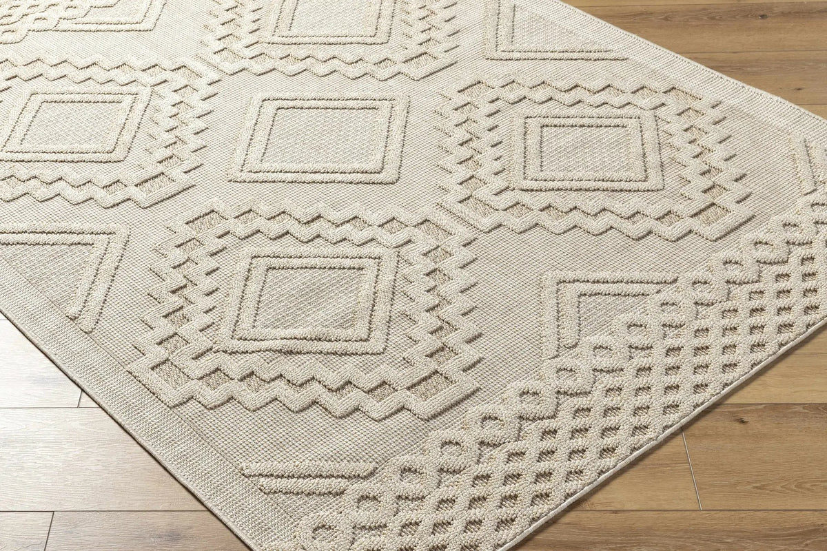 Arwid Bone Outdoor Area Rug - Clearance, photo 6 of 11