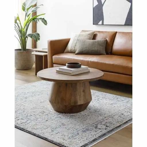 Charo Light Gray Area Rug, installed in a room
