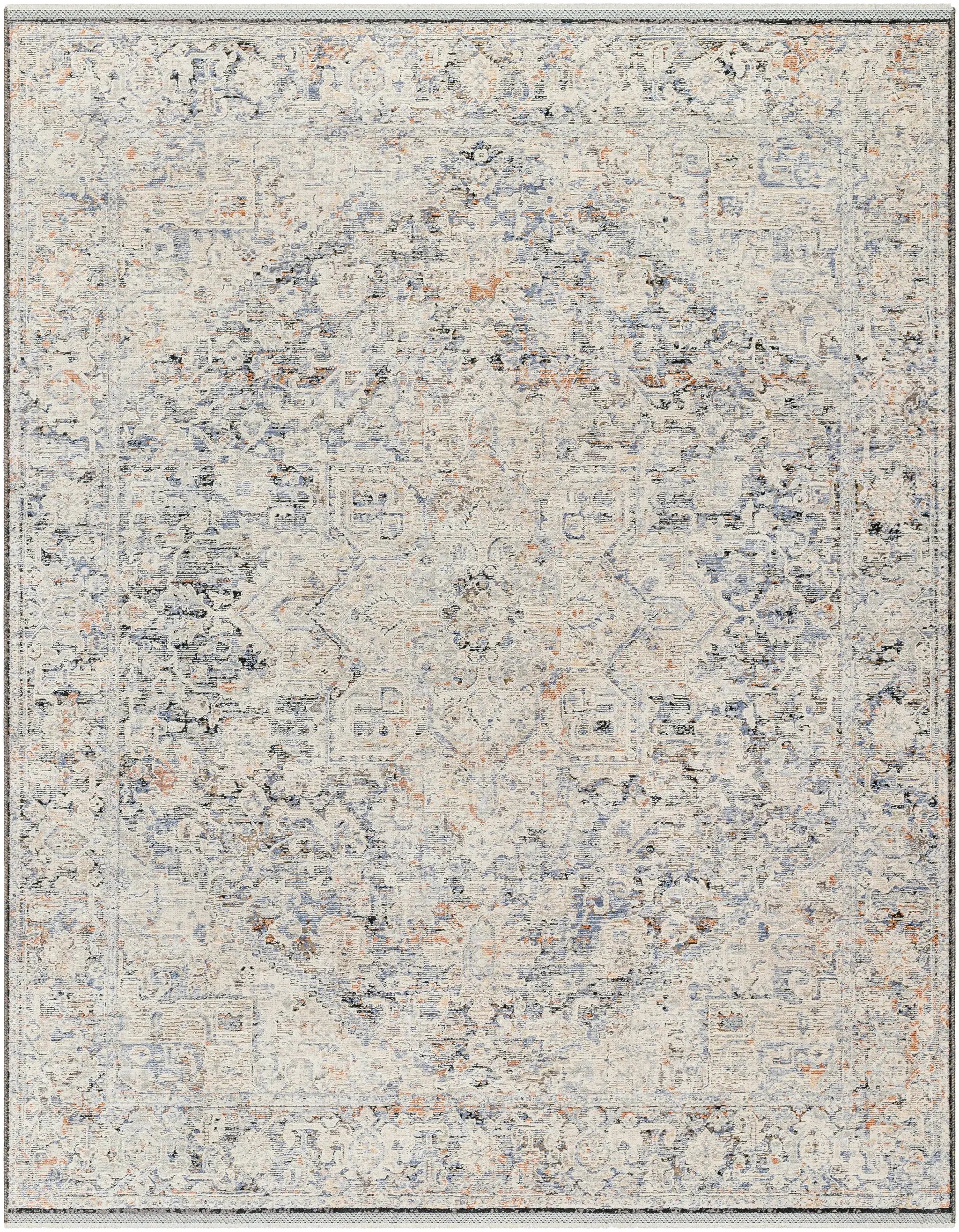 Charo Light Gray Area Rug by Boutique Rugs